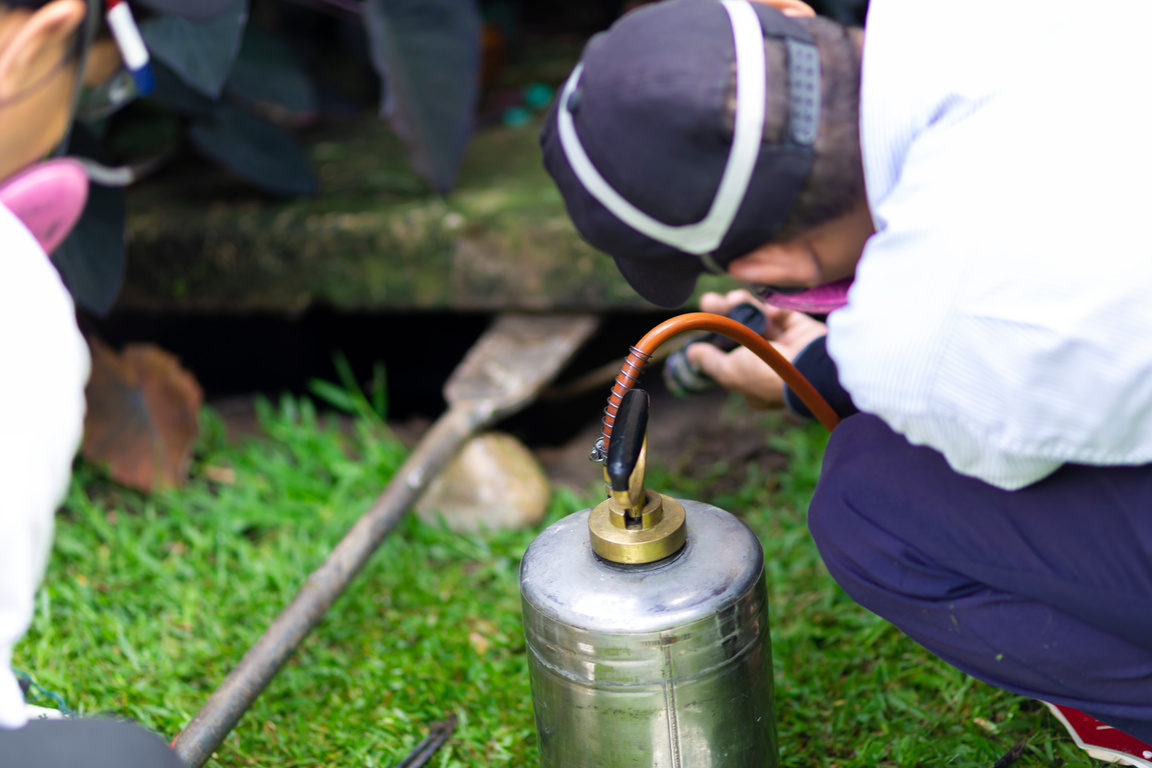 Treatment, Pest Control, Fumigation